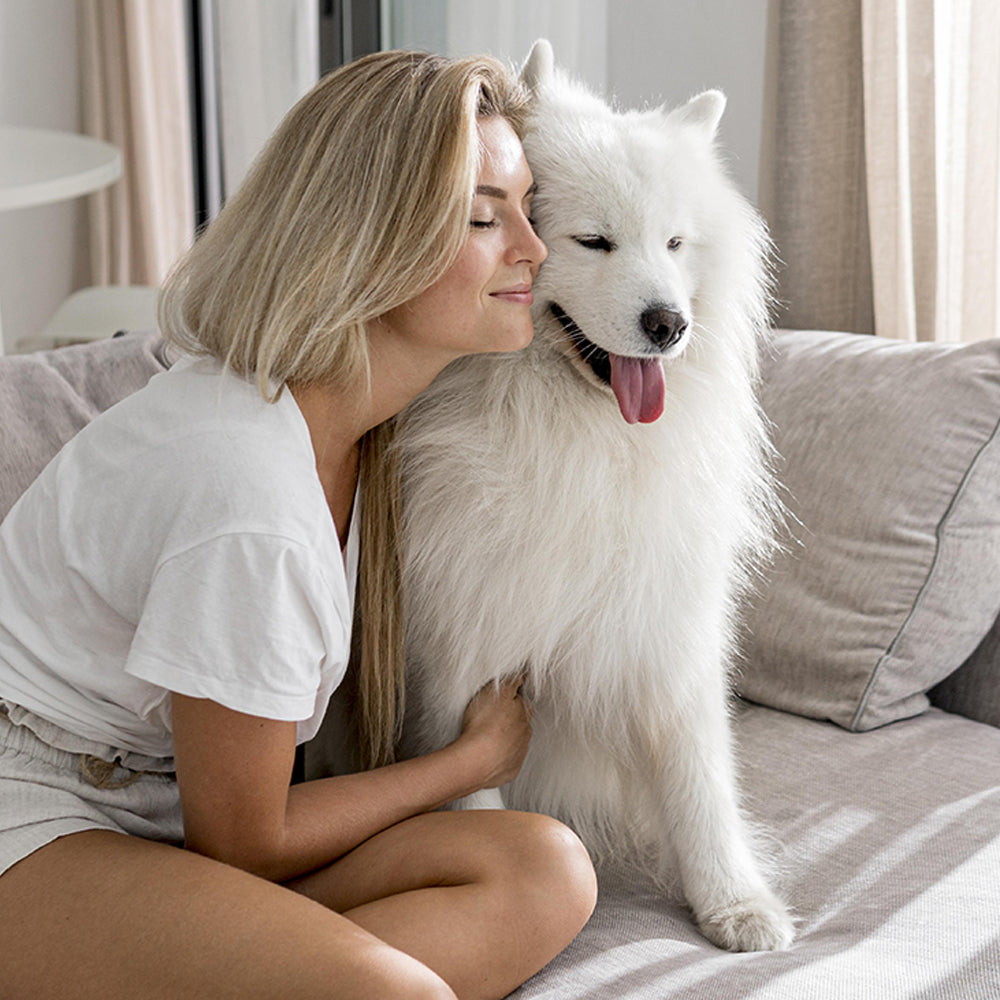 From Photo to Portrait: How We Create Your Custom Pet Art in 3 Easy Steps